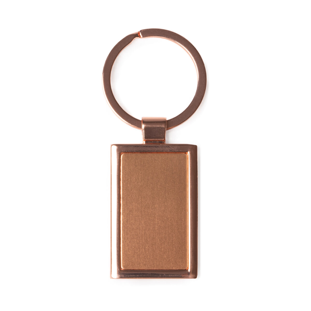NOAH - Imagen 2